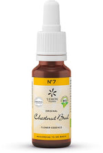 Bach Bloesem Bach bloesemremedies chestnut bud bio 20.00 Milliliter