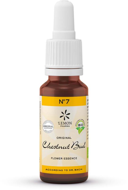 Bach Bloesem Bach bloesemremedies chestnut bud bio 20.00 Milliliter
