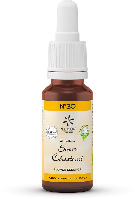 Bach Bloesem Sweet chestnut bio 20.00 Milliliter