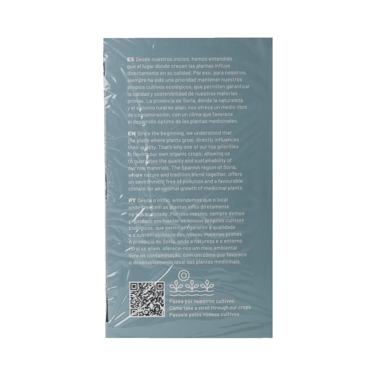 Soria Natural Rozemarijn infusie   20.00 Zakjes