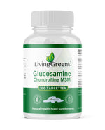 Livinggreens Glucosamine chondroitine MSM 300.00 Tabletten