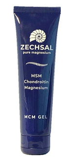 Zechsal MSM gel 100.00 Milliliter