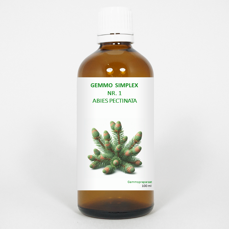 Balancepharma Gemmo simplex 1 abies pectinata 100.00 Milliliter