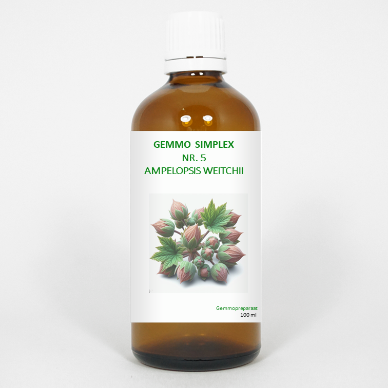 Balancepharma Gemmo simplex 5 ampelopsis weitchii 100.00 Milliliter