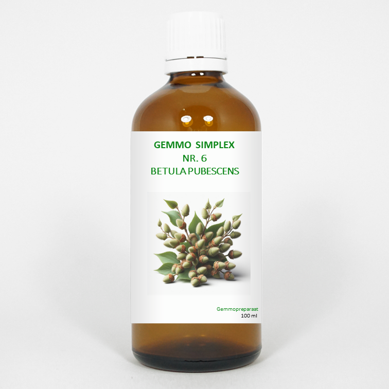 Balancepharma Gemmo simplex 6 betula pubescens 100.00 Milliliter