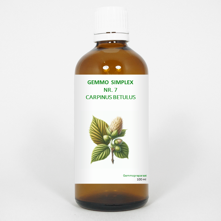Balancepharma Gemmo simplex 7 carpinus betulus 100.00 Milliliter