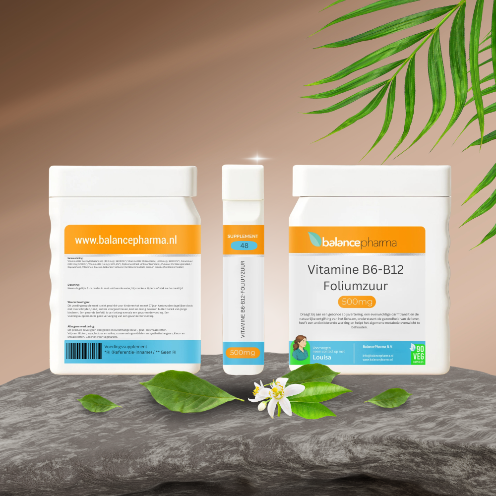 Balancepharma Supplements 48 Vitamine B6-B12-foliumzuur 90.00 Vegetarische capsules