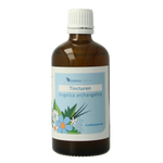 Balancepharma Angelica archangelica tinctuur 100.00 Milliliter