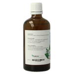 Balancepharma Angelica archangelica tinctuur 100.00 Milliliter