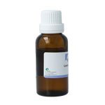 Orphi Lavendelolie 25.00 Milliliter