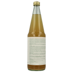 Luna E Terra Appelsap met gember natuurtroebel demeter bio 700.00 Milliliter