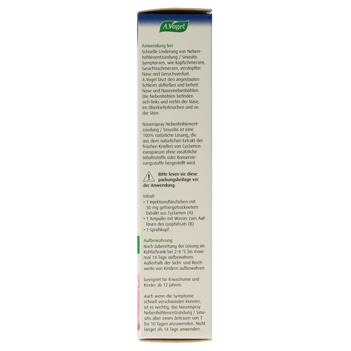 A Vogel Neusspray bijholteontsteking 1.00 Set