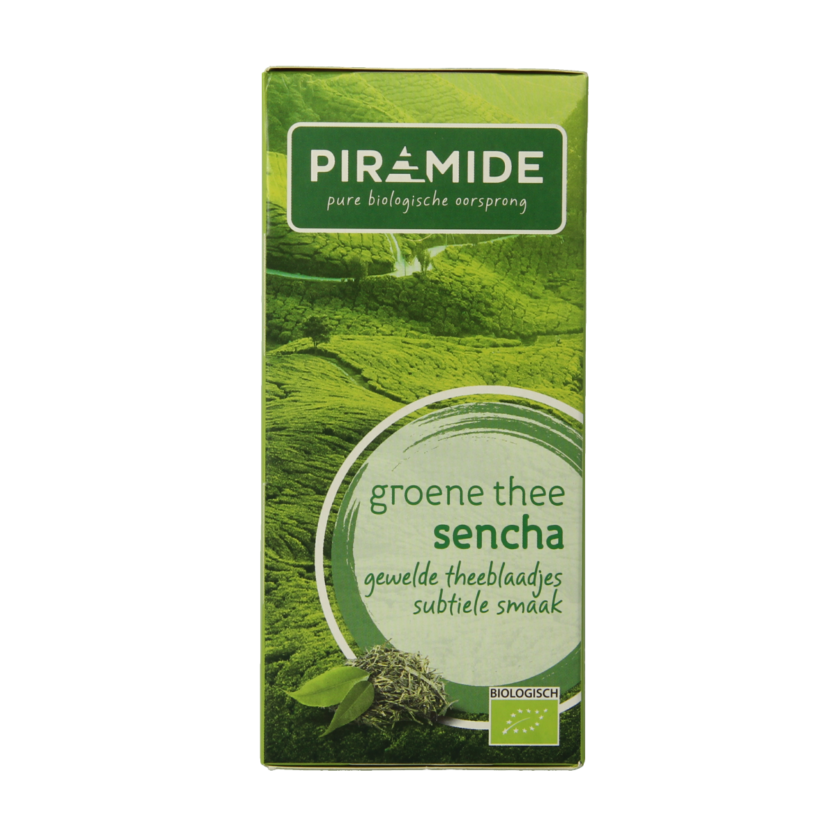 Piramide Groene thee sencha bio 20.00 Zakjes