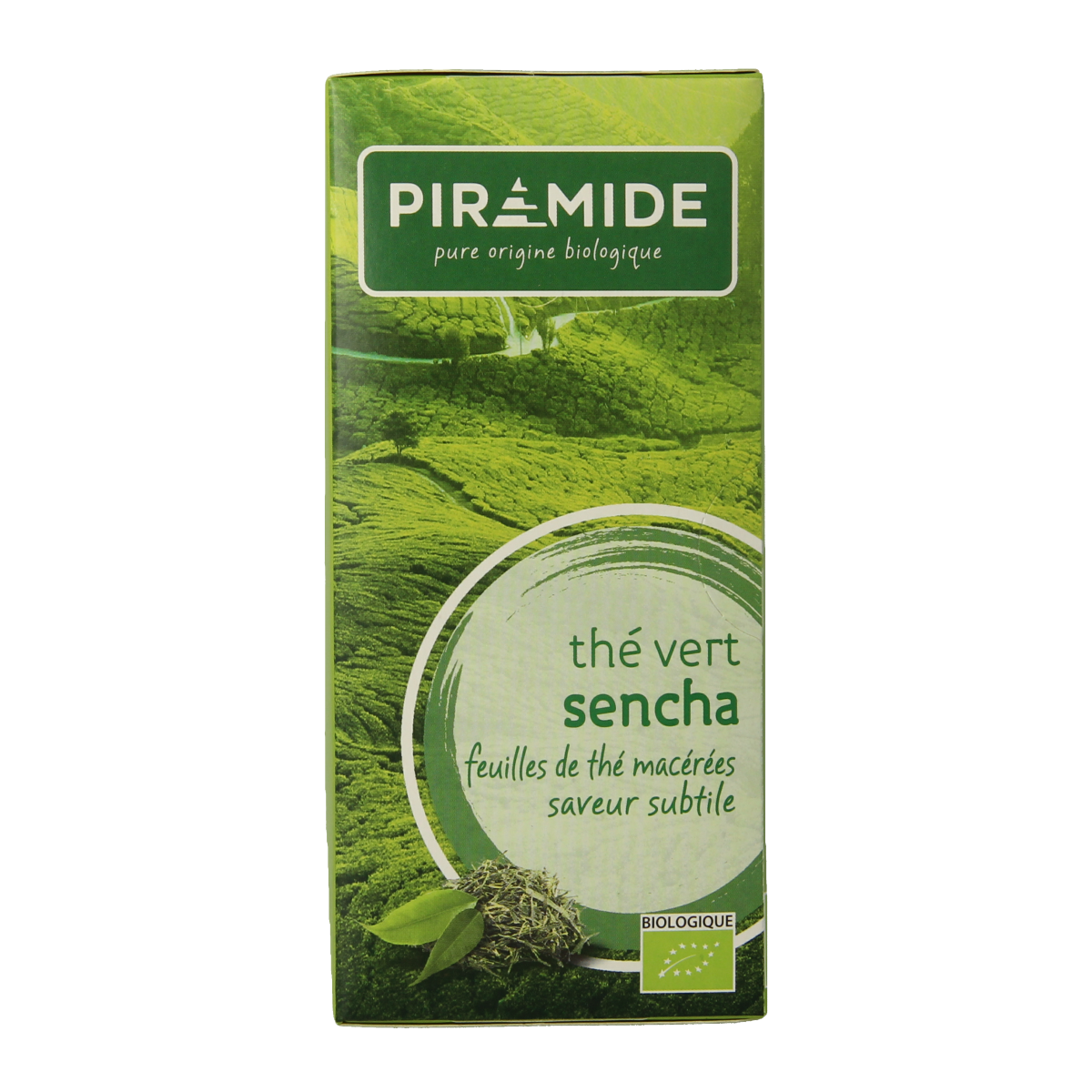 Piramide Groene thee sencha bio 20.00 Zakjes