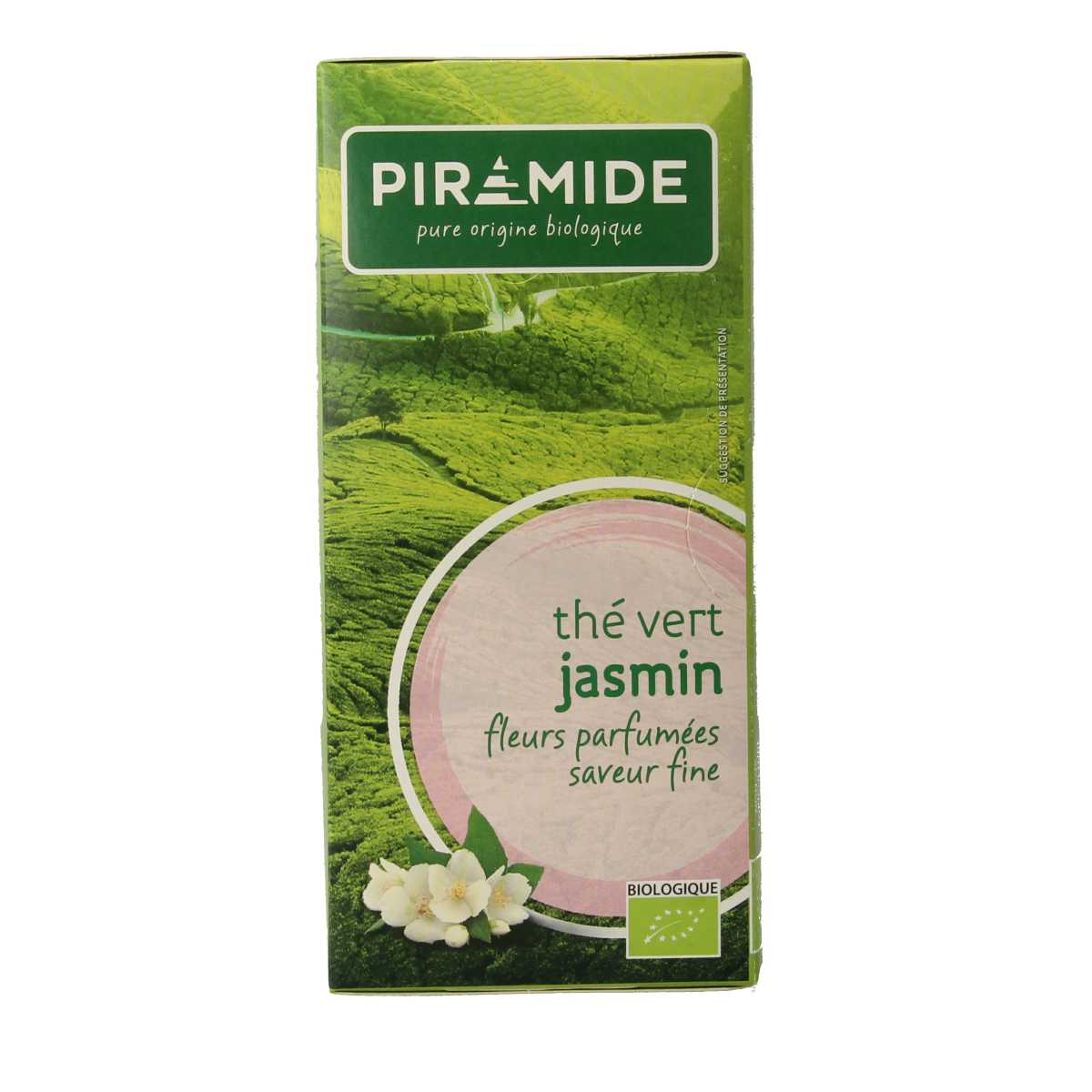 Piramide Groene thee & jasmijn eko bio 20.00 Zakjes