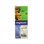Pflüger Anginovin 100.00 Tabletten