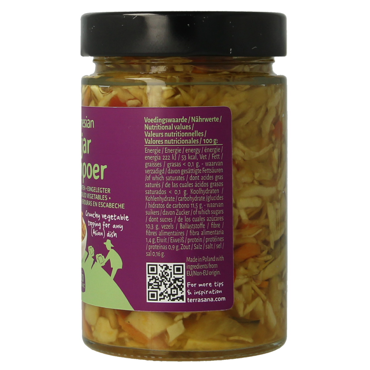 TerraSana Indonesische atjar tjampoer bio 300.00 Gram