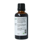 Cruydhof Alchemilla vulgaris/vrouwenmantel tinctuur 50.00 Milliliter