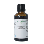 Cruydhof Arctostaphylus uva ursi/berendruif tinctuur 50.00 Milliliter
