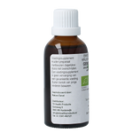 Cruydhof Zingiber officinalis rhiz/gember tinctuur bio 50.00 Milliliter