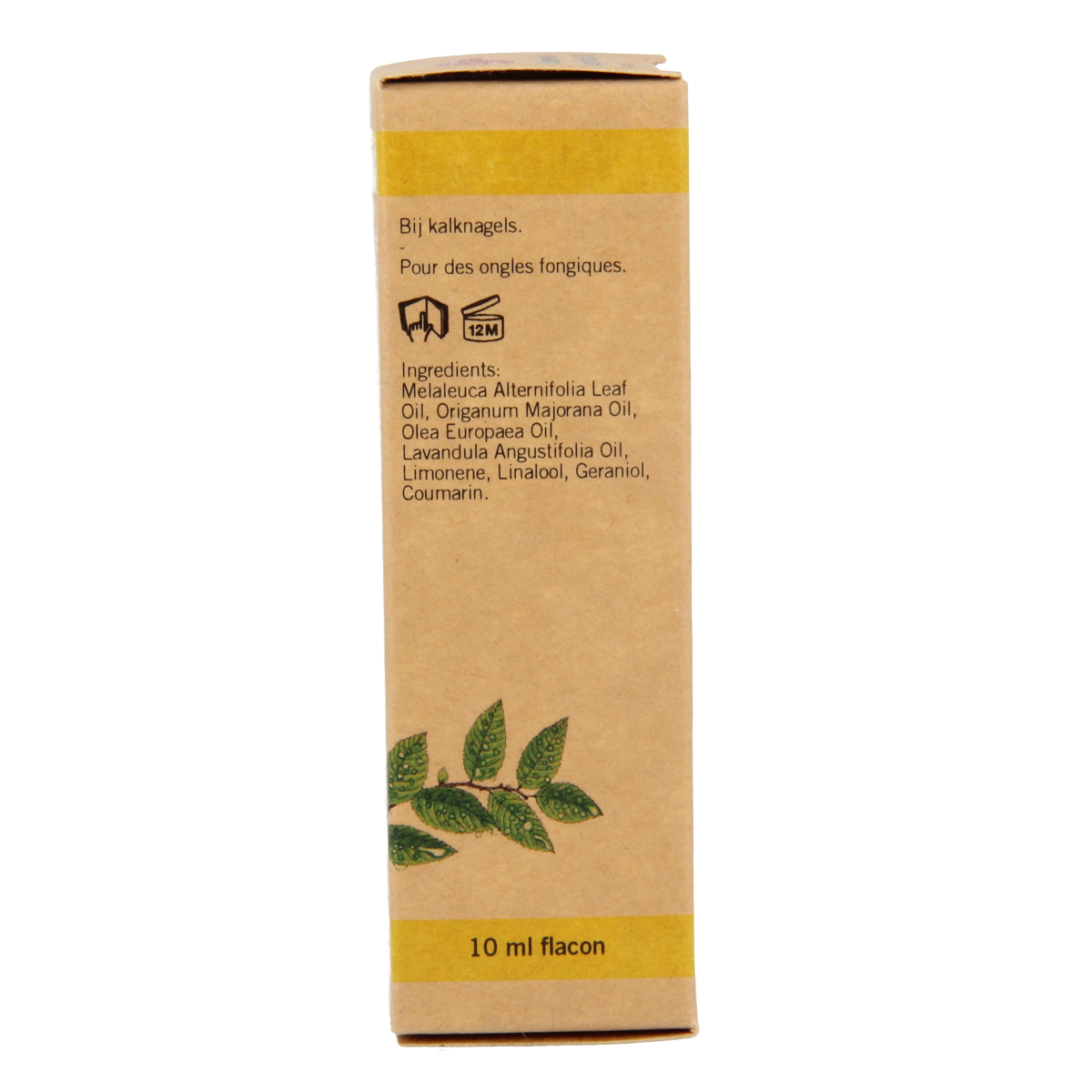 Aromed Ferula kalknagel olie 10.00 Milliliter