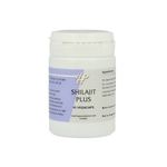 Ayurveda Shilajit plus 45.00 Vegetarische capsules