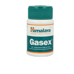 Holisan Gasex  100 Tabletten