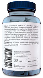 Orthica Vitamine B 100 SR 120.00 Tabletten