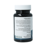 Springfield L-Carnitine 60 Vegetarische capsules
