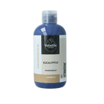 Volatile Massageolie eucalyptus (Oslo) 250.00 Milliliter