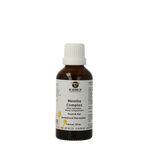 Groene Os Menta complex hond/kat 50.00 Milliliter