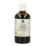 Groene Os Solidago complex paard/pony 100.00 Milliliter