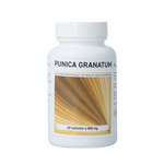 Ayurveda Health Granaatappel punica granatum 60.00 Tabletten