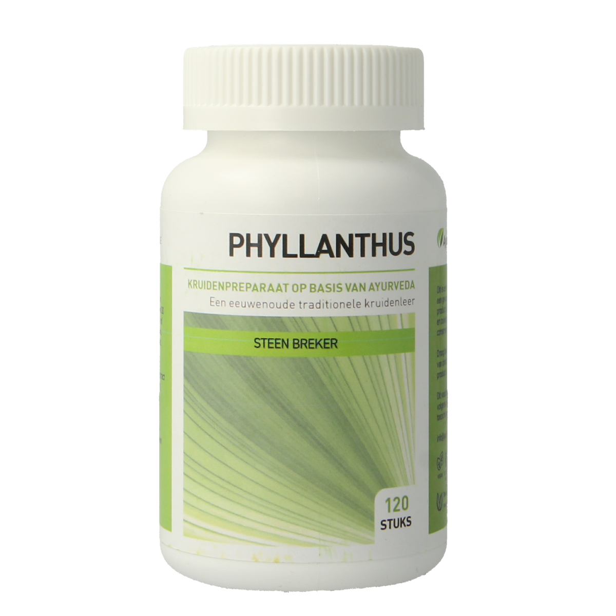 Ayurveda Health Phyllanthus niruri 120.00 Tabletten