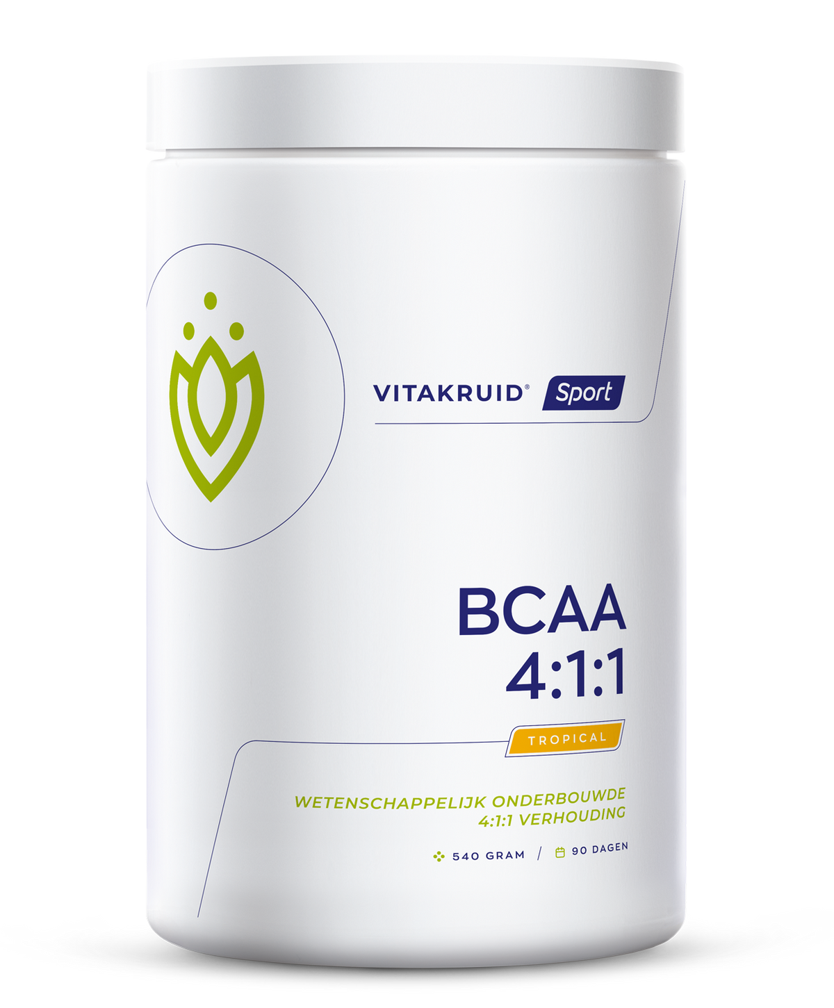 Vitakruid BCAA 4:1:1 l-leucine, l-isoleucine & l-valine 540.00 Gram