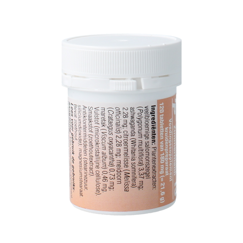 Medizimm Zatka 13 120 Tabletten