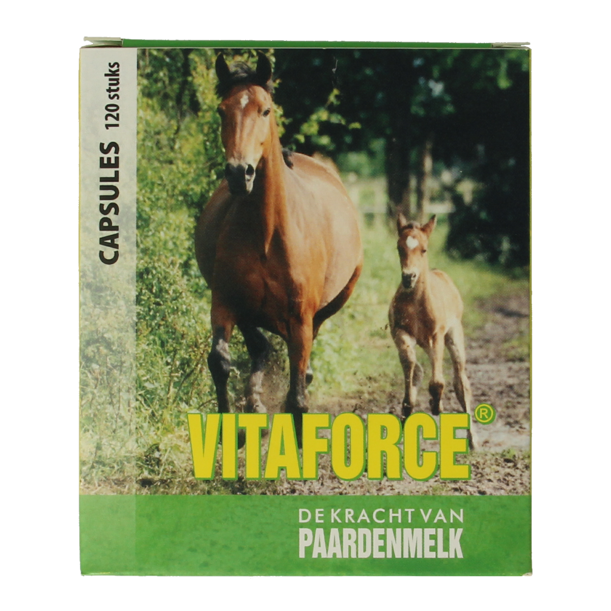 Vitaforce Paardenmelk capsules 120.00 Capsules