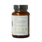 Proviform Vitamine B12-1000mcg TR methylcobalamine 90 Tabletten