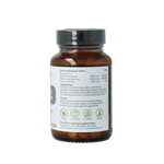 Proviform Vitamine B12 10.000mcg combi actief folaat 60.00 Zuigtabletten
