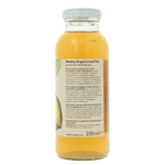 Walden Ice tea lemon lemongrass bio 250.00 Milliliter