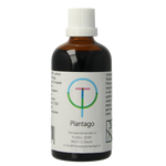 Therapeutenwinkel Plantago lanceolata 100.00 Milliliter