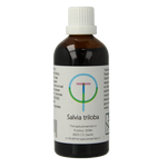 Therapeutenwinkel Salvia triloba 100 Milliliter