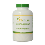 Elvitum  Glucosamine chondroitine 300 Tabletten
