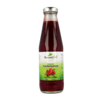 Bountiful Cranberrysiroop bio 500.00 Milliliter
