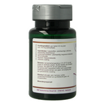 SNP IJzer 45mg TR 60.00 Capsules