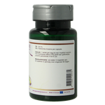 SNP IJzer 45mg TR 60.00 Capsules
