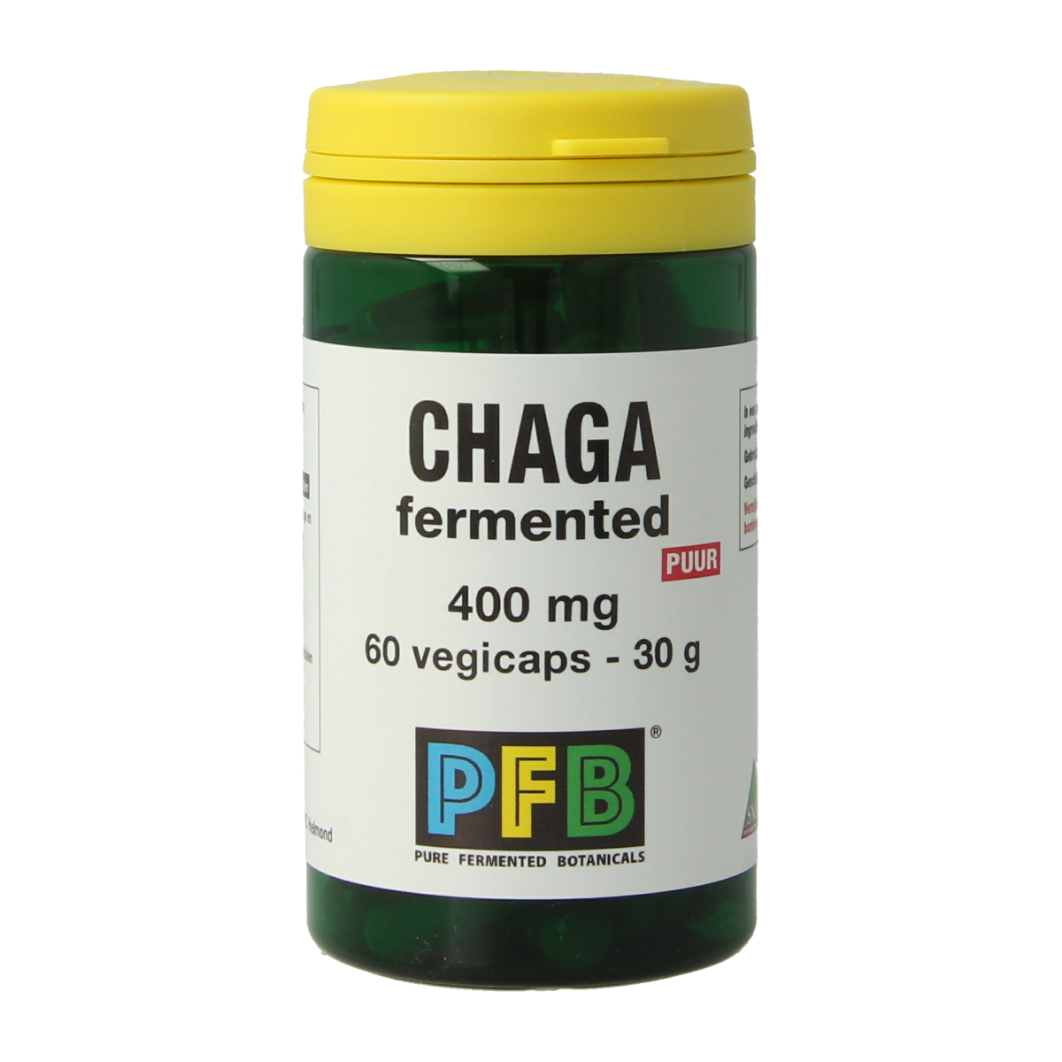 SNP Chaga fermented 400 mg puur 60.00 Vegetarische capsules