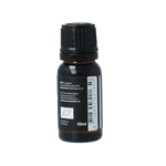Van Toen Kruidnagel bio 10 Milliliter