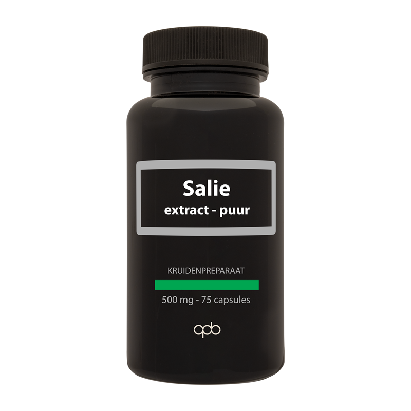 APB Holland Salie extract puur 500mg 75.00 Capsules