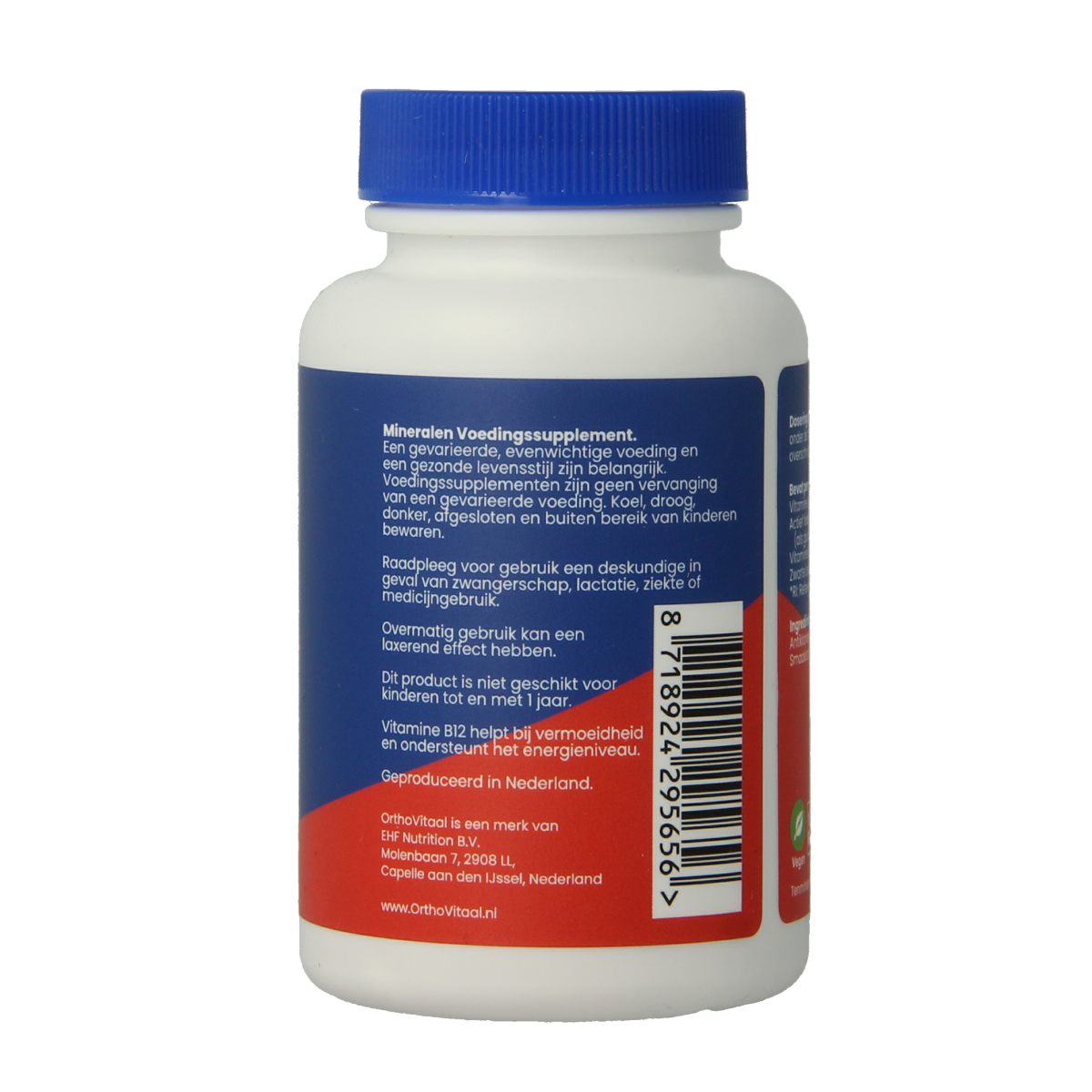 OrthoVitaal B12 Actief 1000mcg 120.00 Zuigtabletten